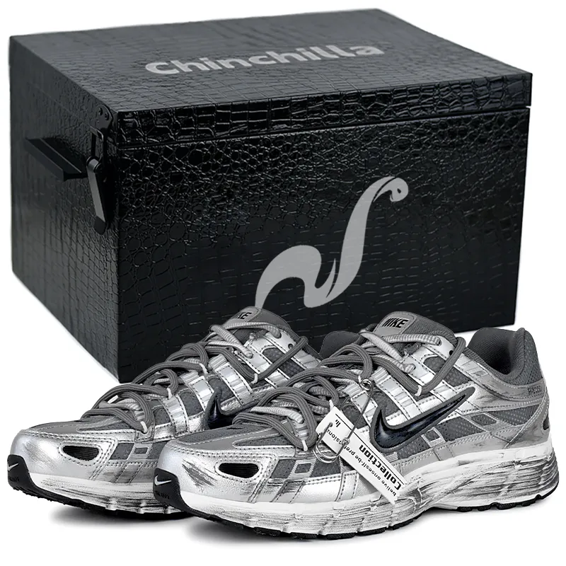 Nike P 6000 Cushioning, Wear Resistant Low top Casual City Commuting Running Shoes Unisex Silver