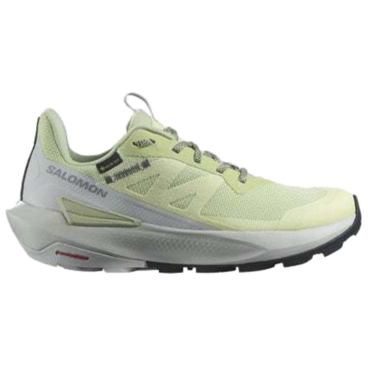 Elixir Activ Wmns Salomon GORE-TEX ‘Celadon Green’ Women’s