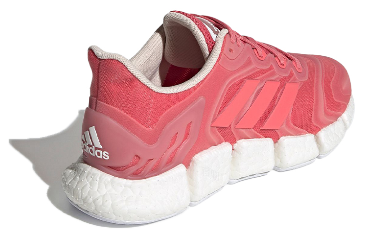 Женские кроссовки adidas Climacool Vento (розовые) — фото 4