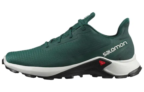 SALOMON Alphacross 3 Running Shoes Men's Low Top Jasper