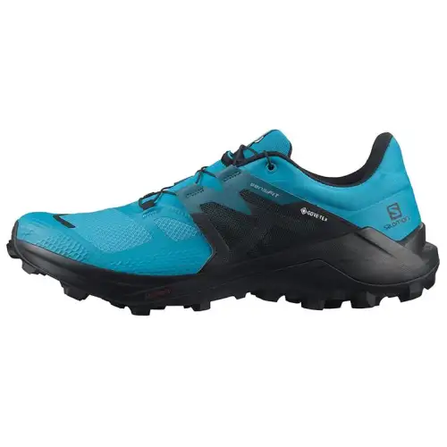 SALOMON Wildcross 2 Gtx 'Blue Black' / L00