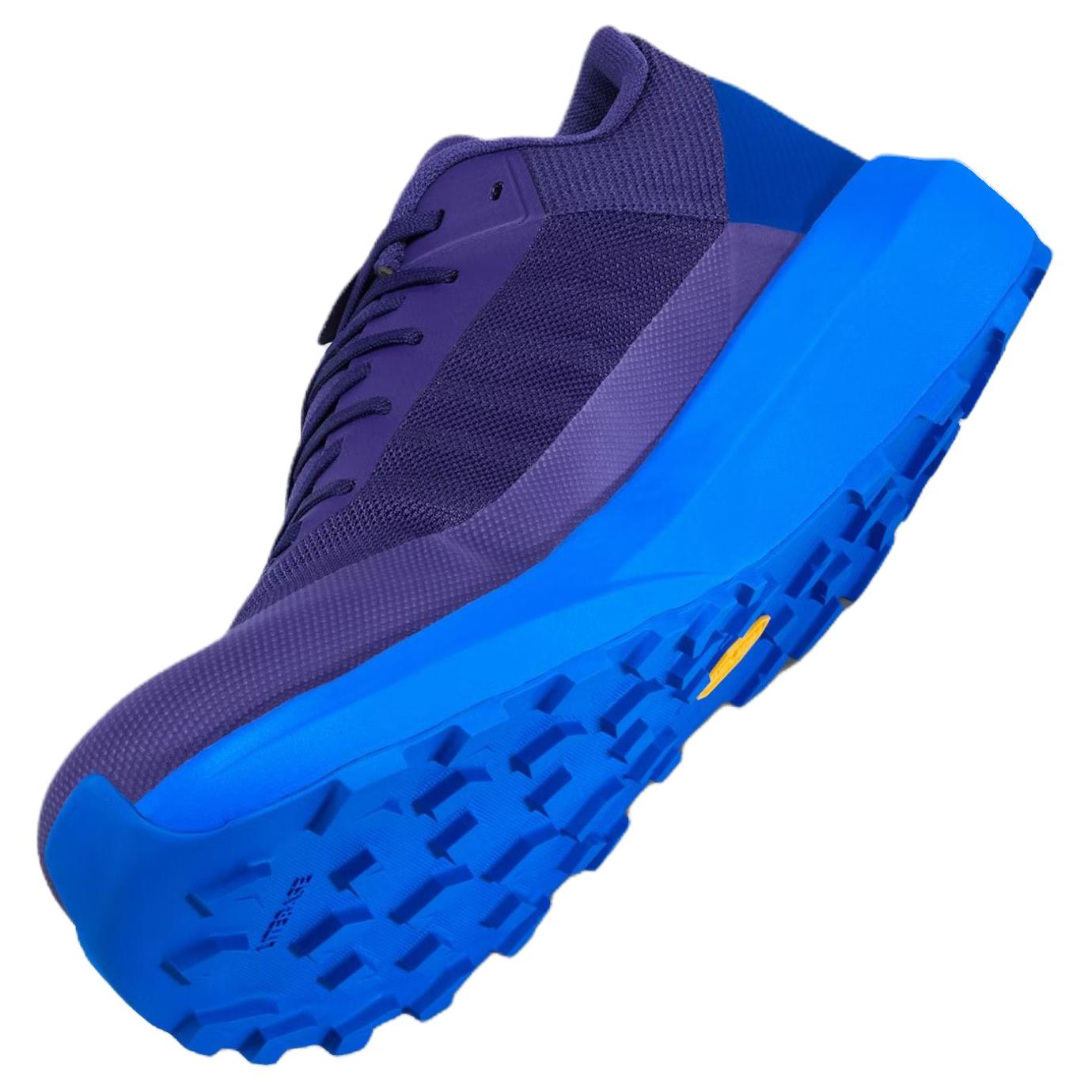 Arc’teryx Cushioning Abrasion Resistant Breathable Support Low top Running Shoes Men’s Purple Blue