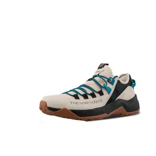 THE NORTH FACE Abrasion Resistant Low top Casual Shoes Men's Beige