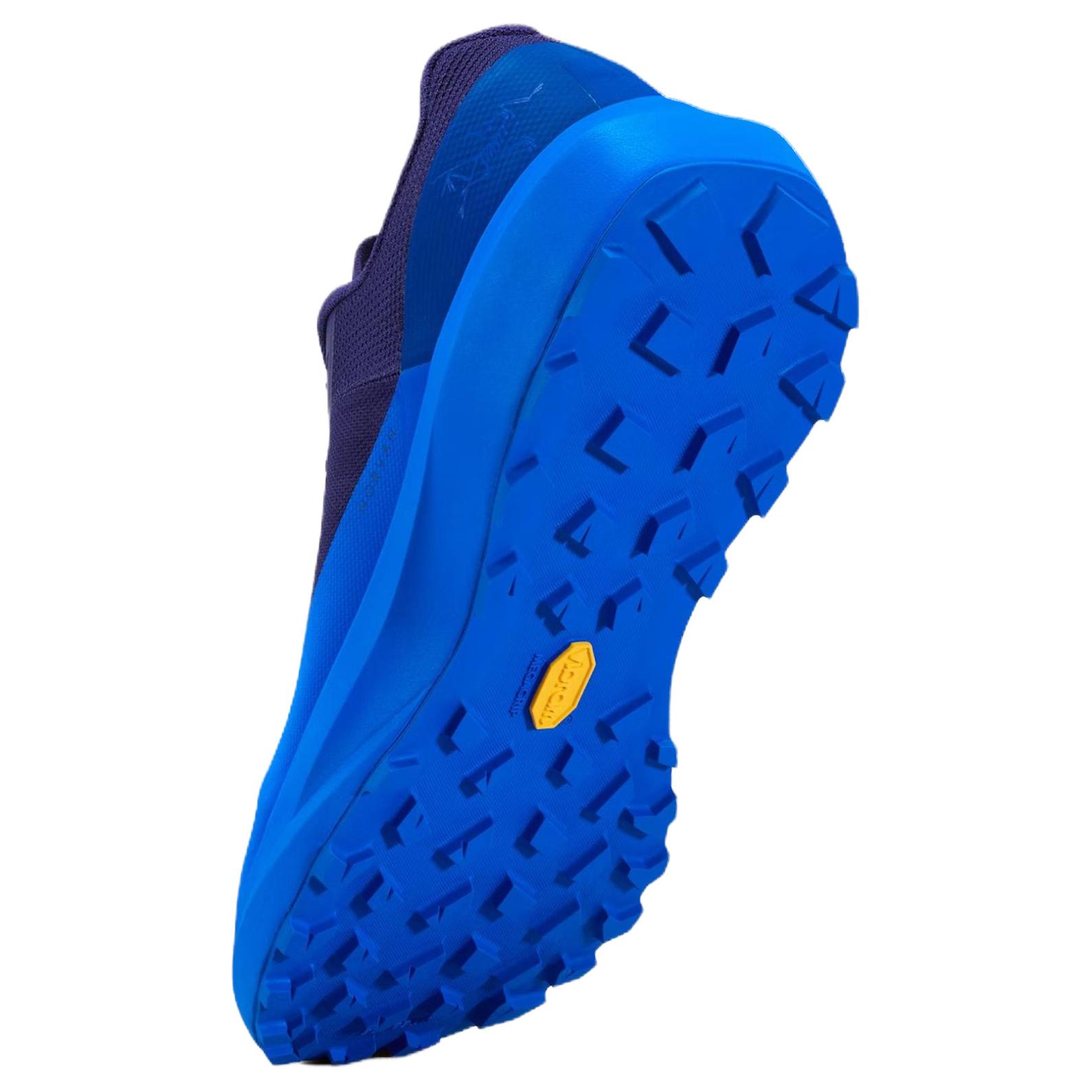 Arc’teryx Cushioning Abrasion Resistant Breathable Support Low top Running Shoes Men’s Purple Blue