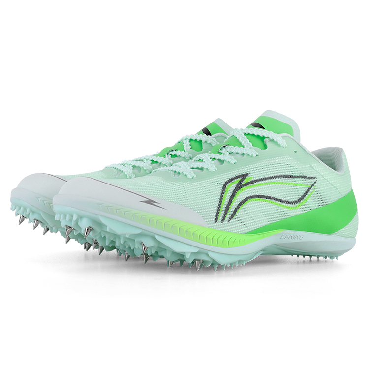Li Ning Running Shoes Unisex Low Top
