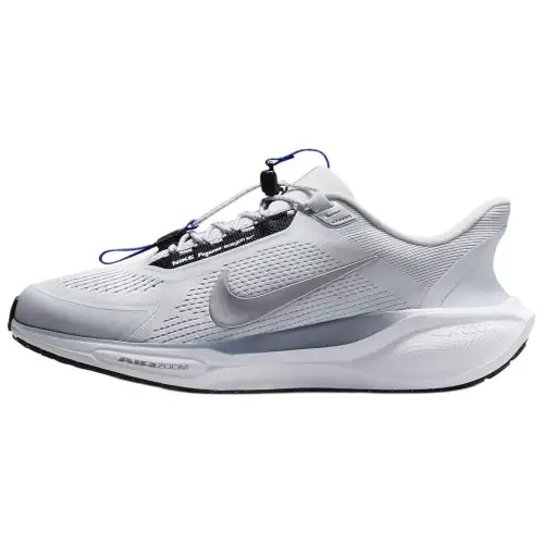 Nike Air Zoom Pegasus 41 EasyOn Pure Platinum Ashen Slate Racer Blue Metallic Silver