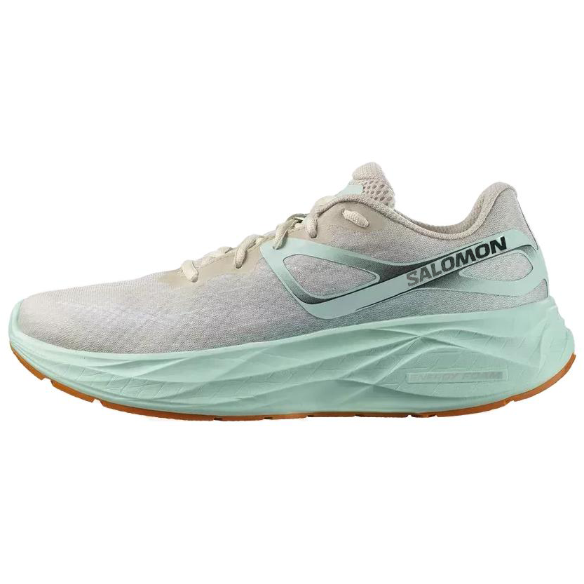 Aero Glide Salomon ‘Bleached Sand Yucca’