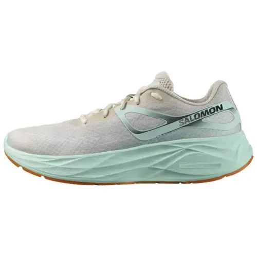 Aero Glide Salomon 'Bleached Sand Yucca'