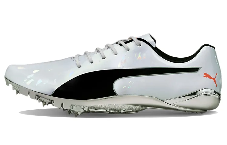 PUMA EvoSPEED Electric 10 'Grey'