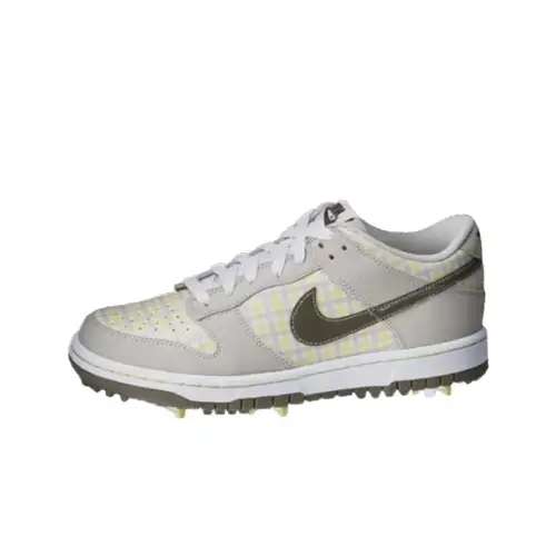 Nike Dunk NG Golf Abrasion Resistant Breathable Low top Golf Shoes Unisex Gray