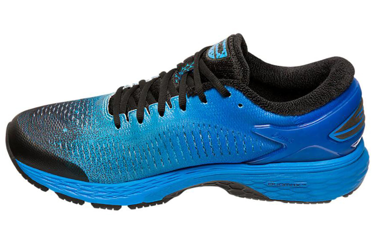 ASICS Gel Kayano 25 Sp 'Blue'