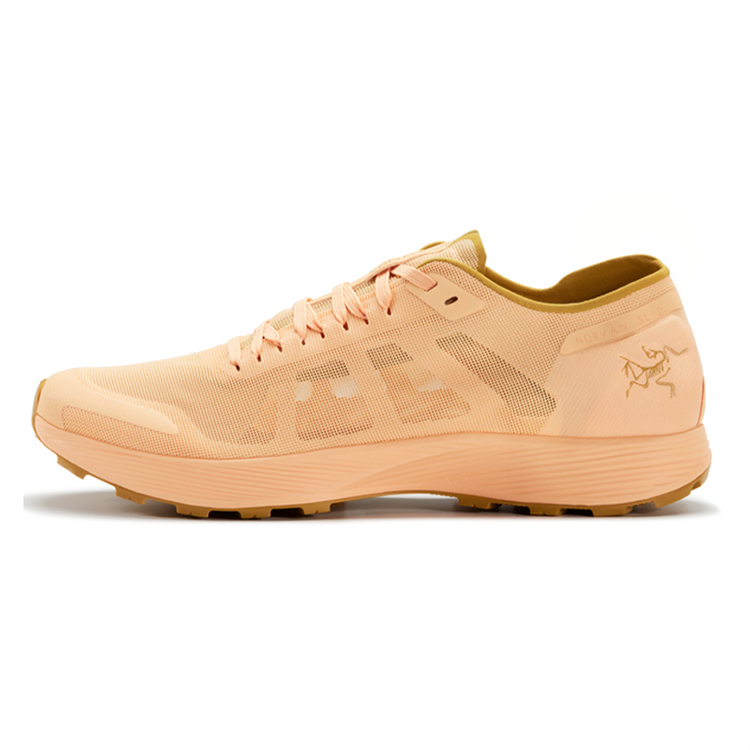 Женские кроссовки Arcteryx Arcteryx Norvan SL GTX (розовый)