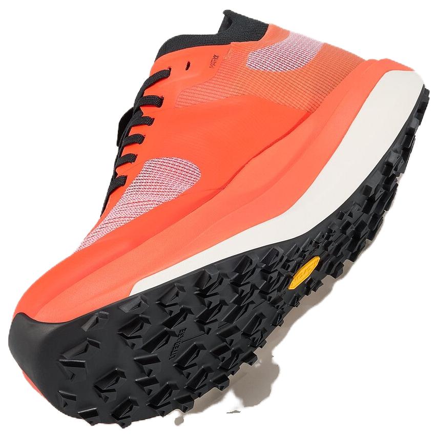 Arc’teryx SYLAN Slip Resistant Abrasion Resistant Low top Trail Running Marathon Training Long Distance Running