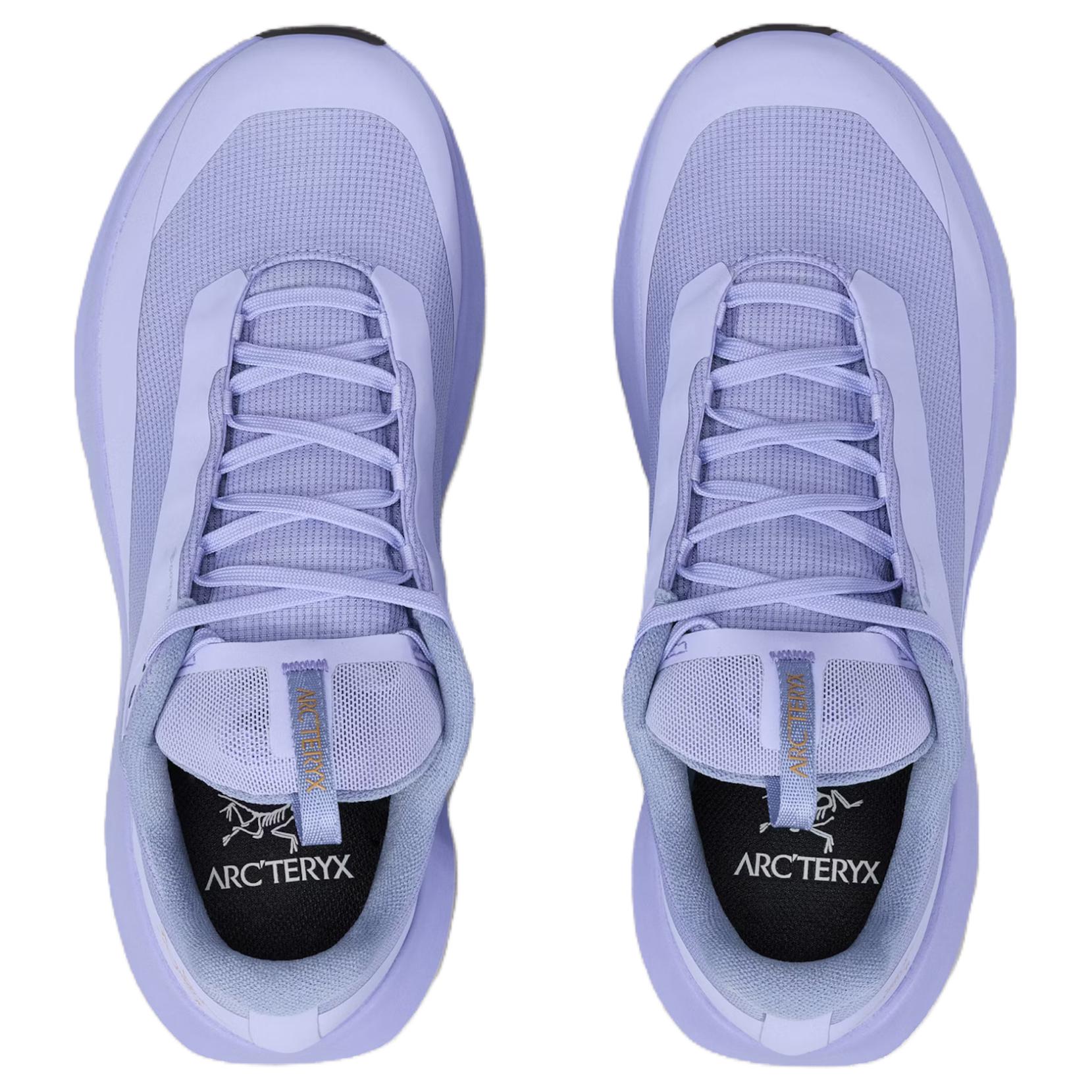 Arc’teryx Norvan LD 4 Abrasion Resistant Waterproof And Breathable Low top Trail Running Shoes Women’s Purple