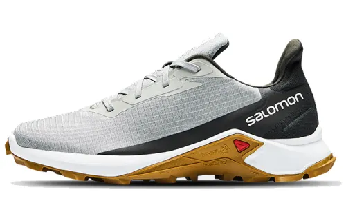 SALOMON Low top Running Shoes Men's Gray