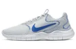 Nike Flex Experience Rn 9 Pure Platinum