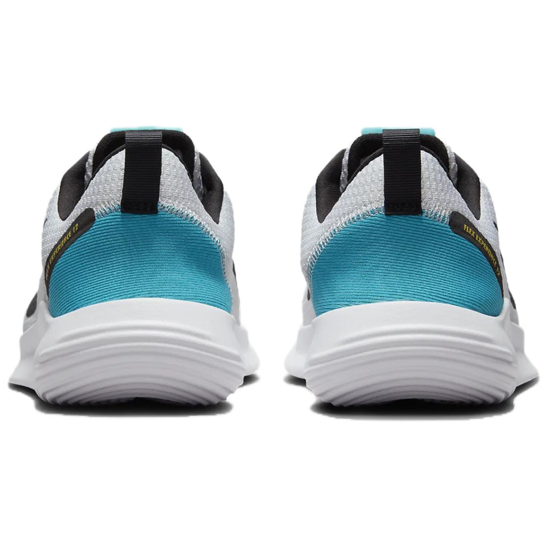 Nike Women’s Flex Experience Run 12 ‘Pure Platinum Dusty Cactus’