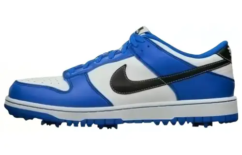 Nike Dunk Ng Golf 'White Blue Black'