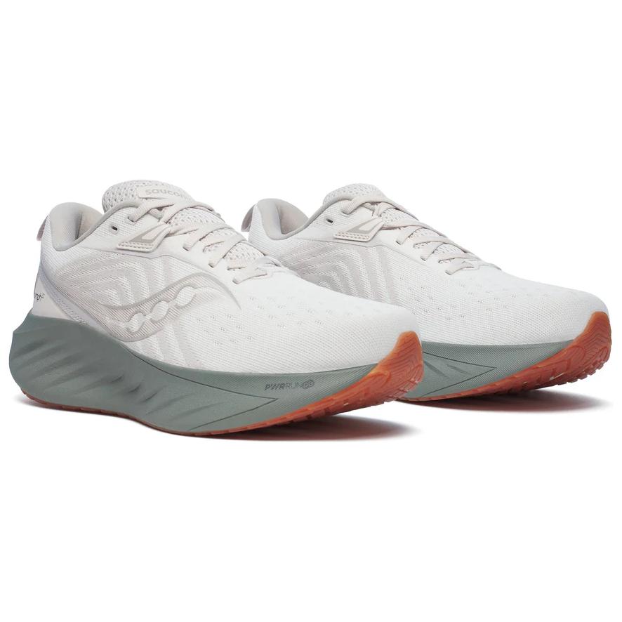 Saucony Triumph 22 Moon Bough