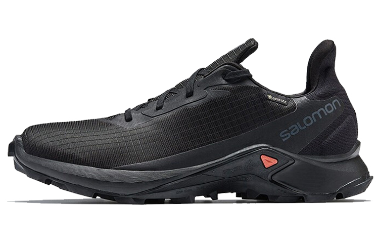 SALOMON Alphacross 3 Gtx 'Black' / L00