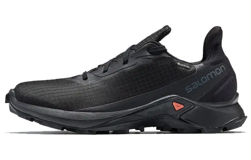 SALOMON Alphacross 3 Gtx 'Black' / L00