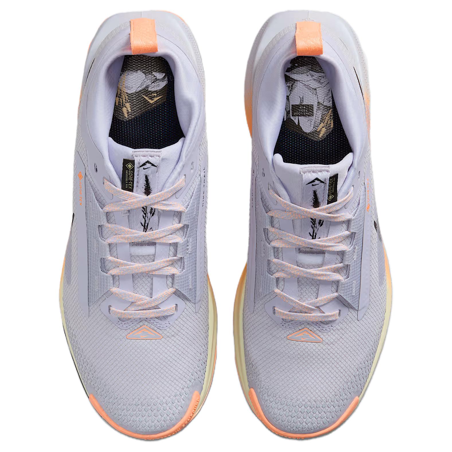 Nike Pegasus Trail 5 Running Shoes Women’s Gray