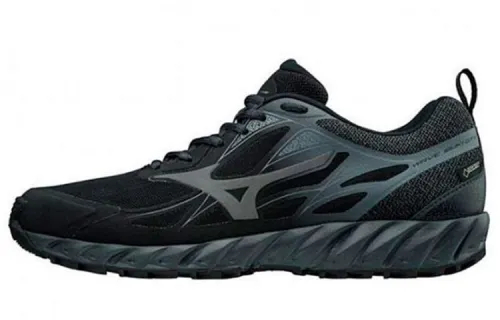 Mizuno Wave Ibuki Gtx Low Tops Black Gray