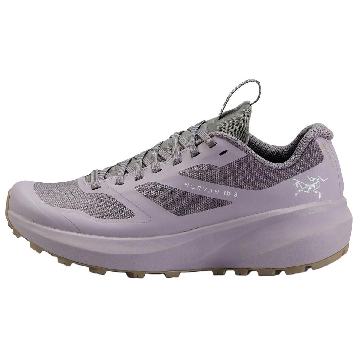 Женские кроссовки Arcteryx Arcteryx Norvan LD 3 GTX (серые)
