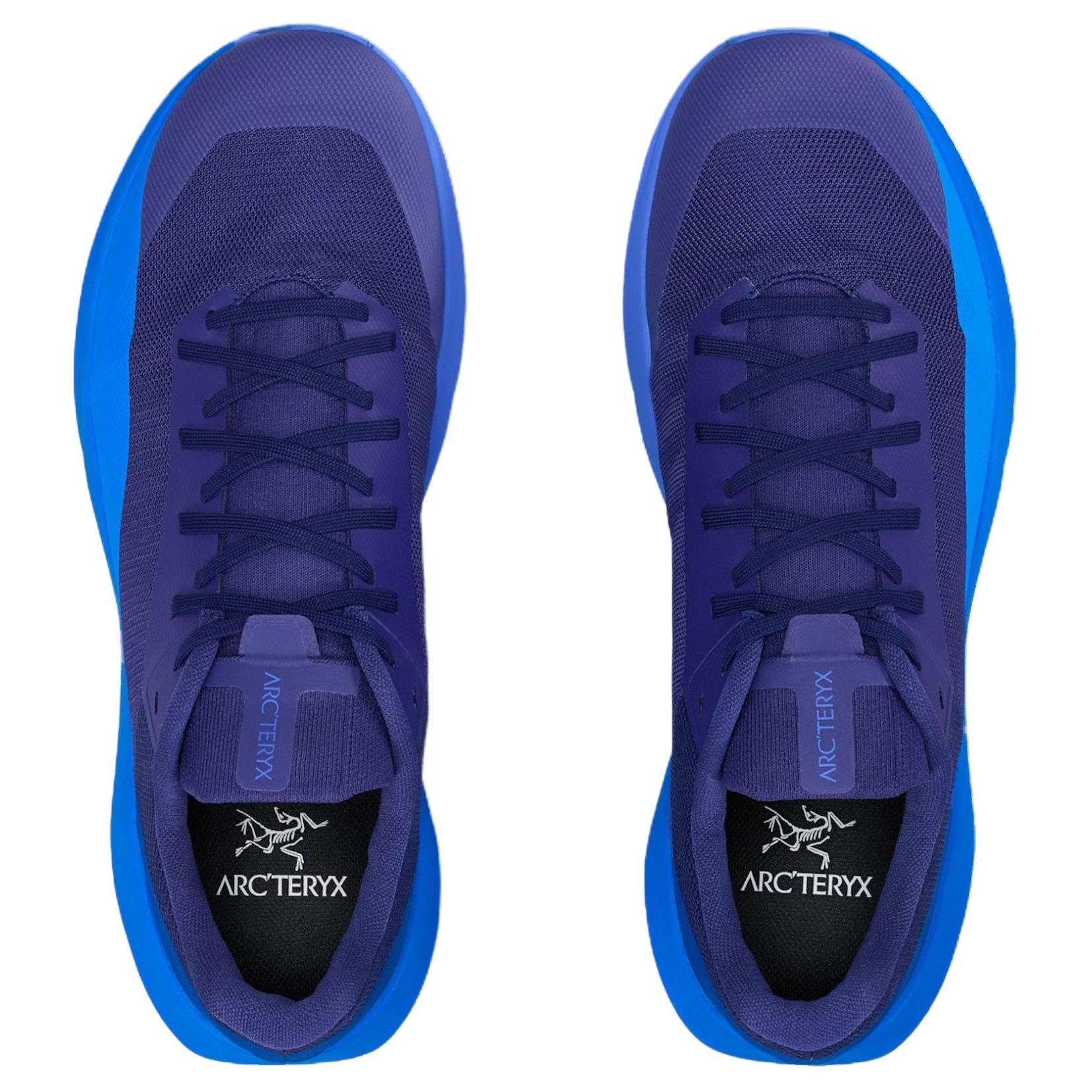 Arc’teryx Cushioning Abrasion Resistant Breathable Support Low top Running Shoes Men’s Purple Blue