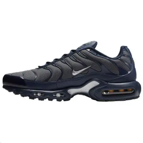 Nike Air Max Plus Dark Grey Metallic Silver
