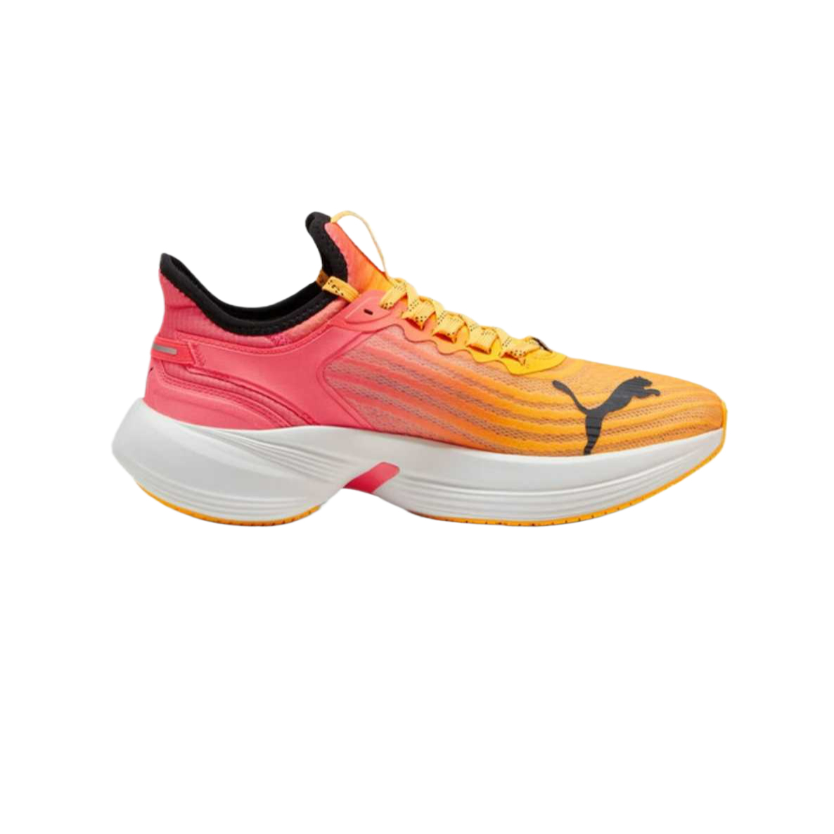 PUMA Conduct Pro Mesh Low top Running Shoes Unisex