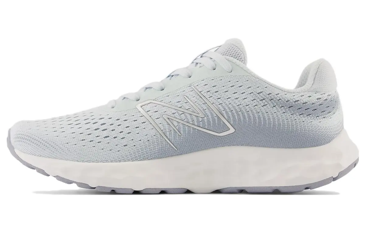New Balance 520 V8 'Grey' Women's