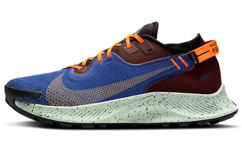 Nike Pegasus Trail 2 Zoom Off-road GORE-TEX Color-blocking trend Fabric shock-absorbing and anti-slip Low-top Marathon running shoes Men's blue-brown