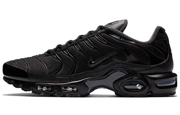 Nike Air Max Plus 'Black Dark Smoke Grey'