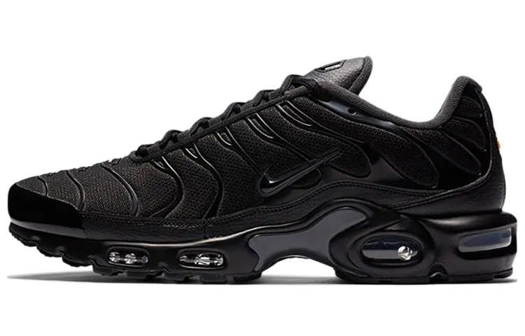 Nike Air Max Plus 'Black Dark Smoke Grey'