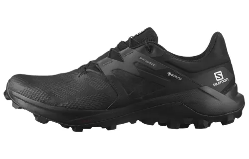 SALOMON Wildcross 2 Gore Tex / L00