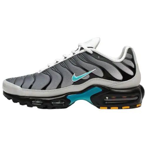 Nike Air Max Plus One Block Down Matte Silver
