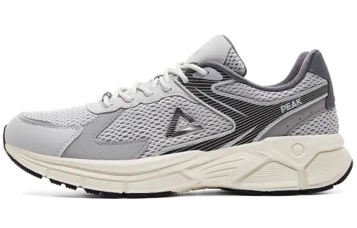 PEAK Cushioning Slip Resistant Abrasion Resistant Breathable Low top Running Shoes Men's Smoke Gray
