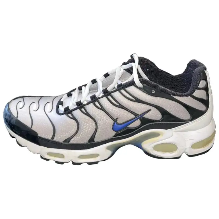 Nike Air Max Plus Black Metallic Silver