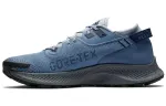 Nike Pegasus Trail 2 Gtx 'Blue Grey'
