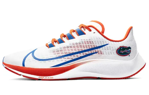 Nike Air Zoom Pegasus 37 Florida
