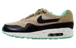 Nike Air Max 1 Linen/Anthracite Purple Dynasty Sail Women's