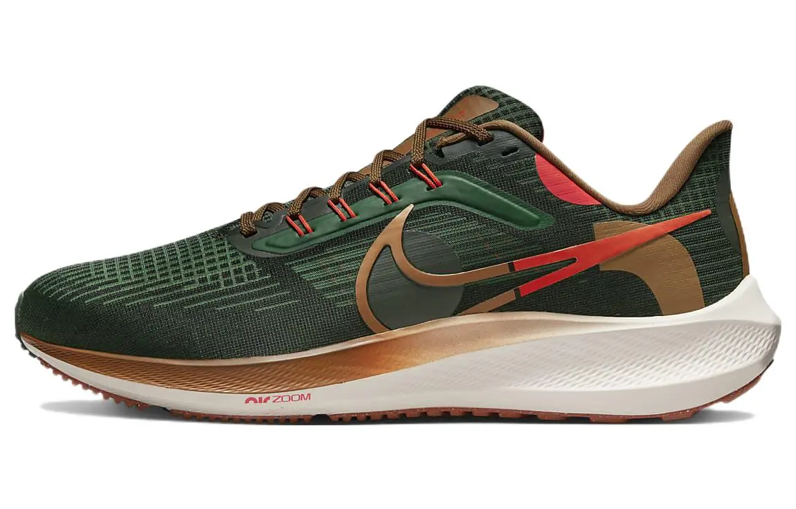 Nike X Hola Lou Air Zoom Pegasus 39 'A.I.R.'