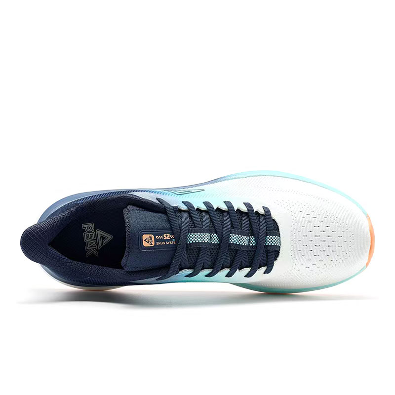 PEAK Cushioning Lightweight Cushioning Lightweight Low top Casual Running Shoes Men’s Ecru Blue