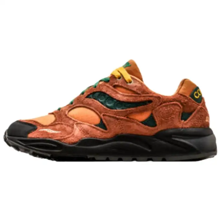 saucony Colour Plus Companie X Grid Shadow 2 'Forest Wander'