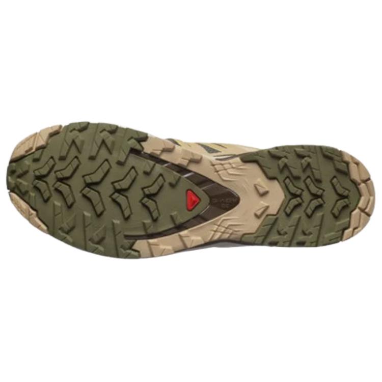 Xa Pro 3D V9 Salomon ‘Deep Lichen Green’