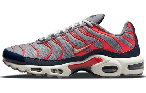 Nike Air Max Plus Usa Grey