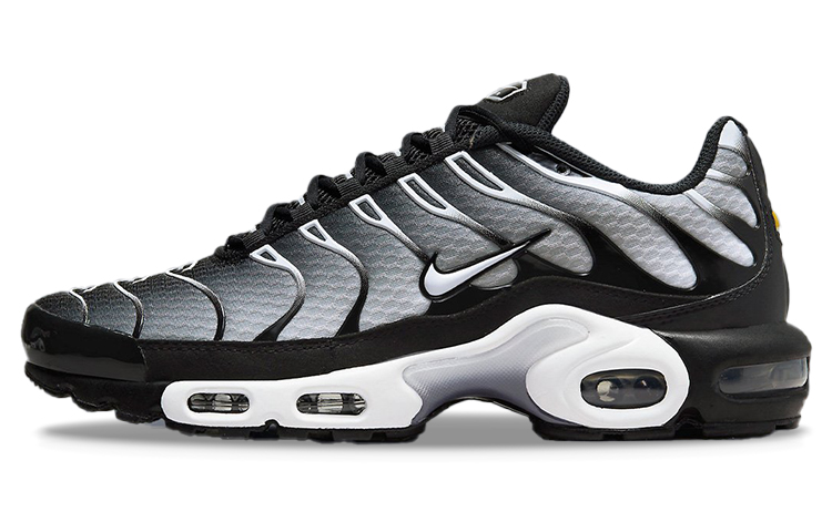 Nike Air Max Plus 'Black Metallic Silver'