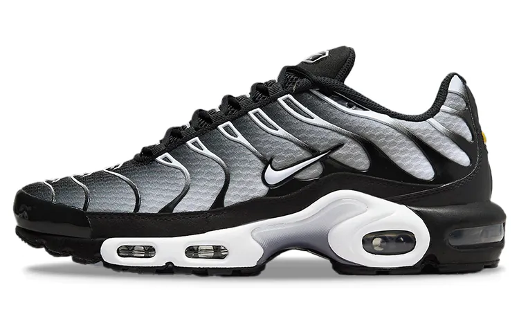 Nike Air Max Plus 'Black Metallic Silver'