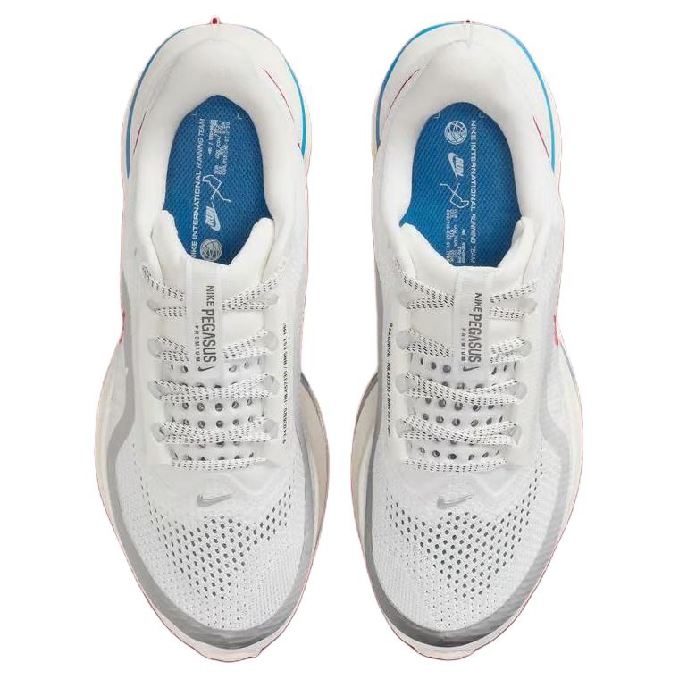 Nike Air Zoom Pegasus Premium Forrest Gump Women’s